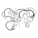 JLG Part 1001125381 Image 2