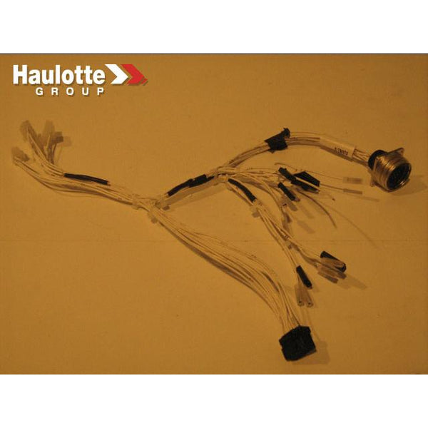 Haulotte Part 118B169610 Image 1
