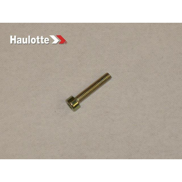 Haulotte Part 2308231190 Image 1