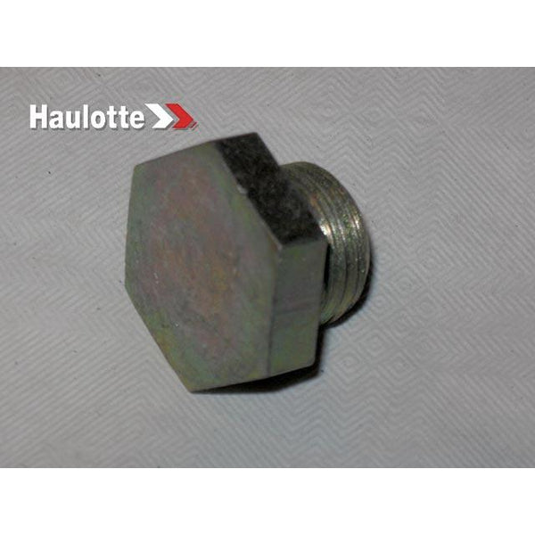 Haulotte Part 2420208170 Image 1