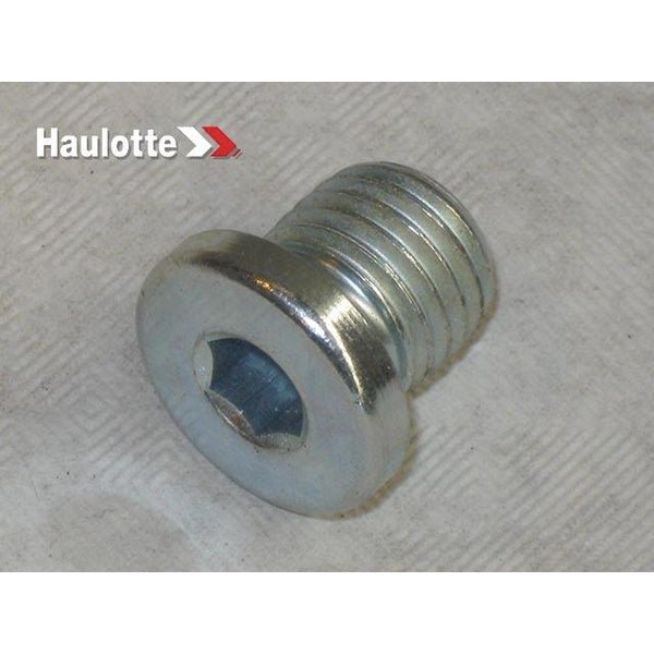 Haulotte Part 2420210810 Image 1
