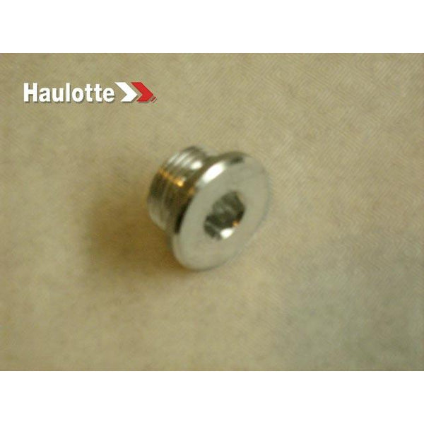 Haulotte Part 2420212320 Image 1