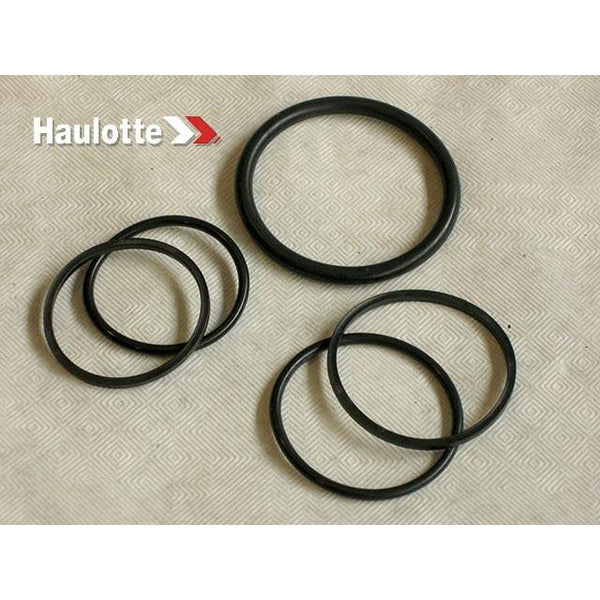Haulotte Part 2421693970 Image 1
