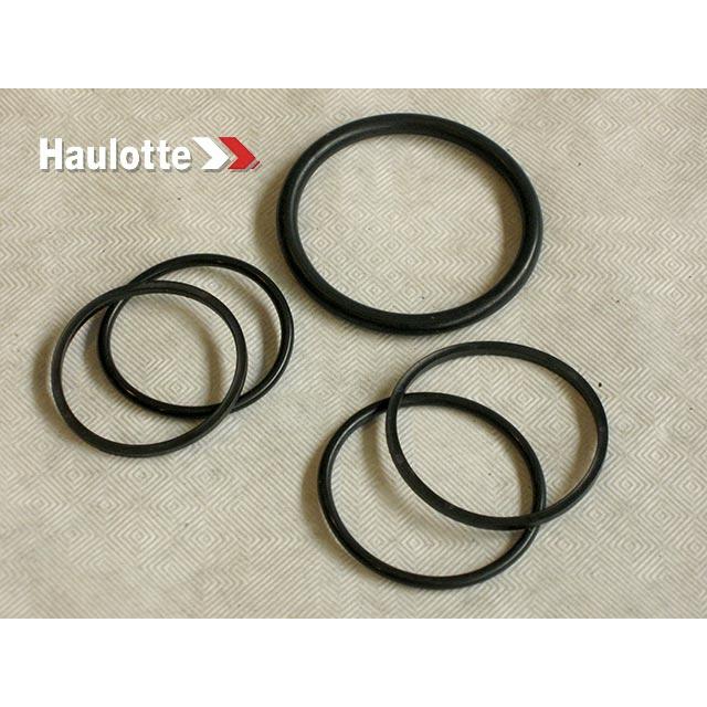 Haulotte Part 2421693970 Image 1