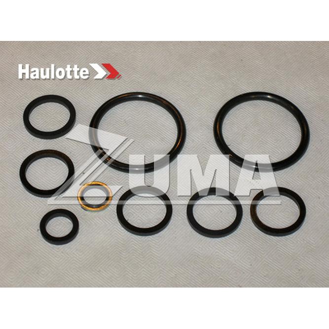 Haulotte Part 2421693980 Image 2