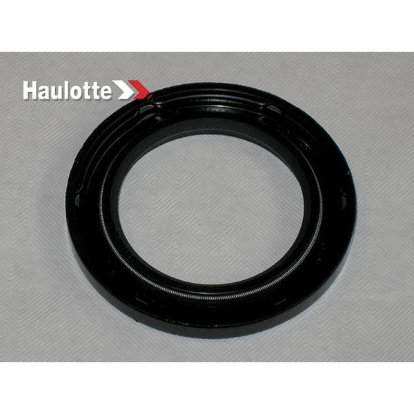 Haulotte Part 2479001250 Image 1