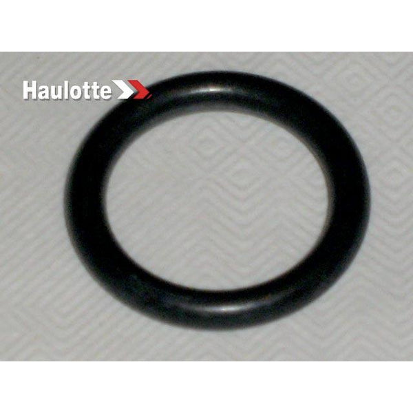 Haulotte Part 2503002160 Image 1