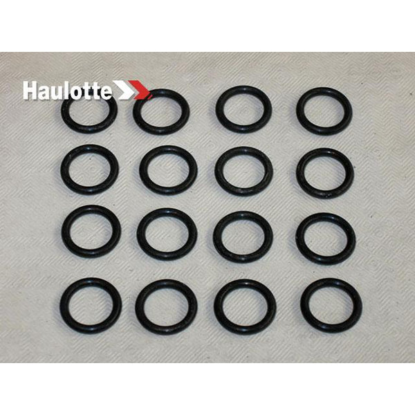 Haulotte Part 2505001200 Image 1