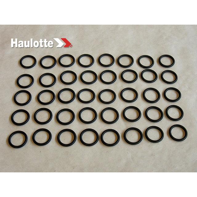 Haulotte Part 2505001210 Image 1