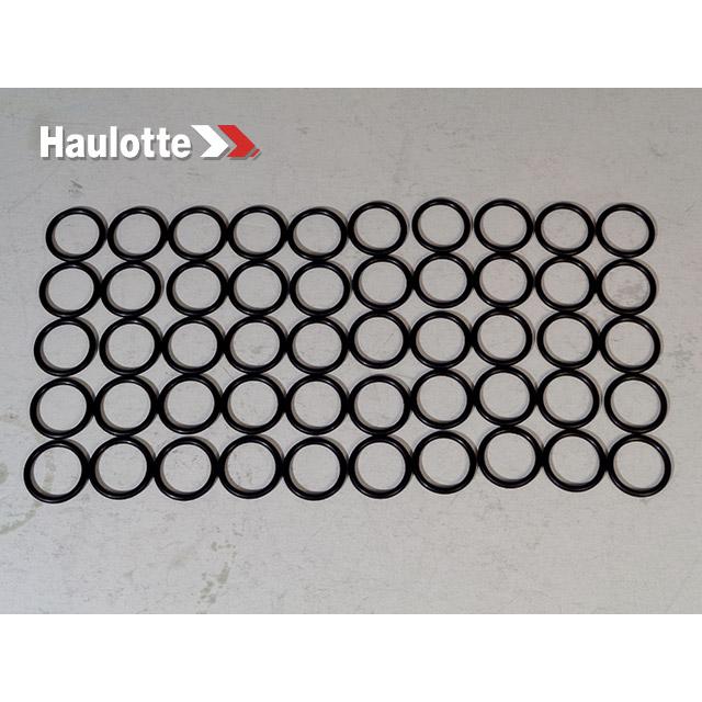 Haulotte Part 2505001220 Image 1