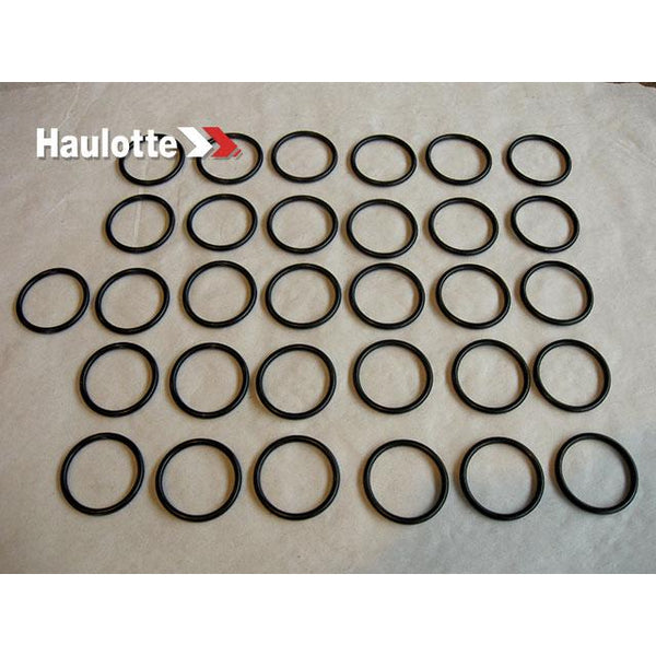 Haulotte Part 2505001250 Image 1