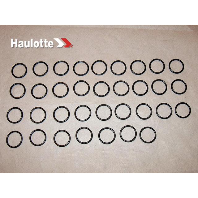 Haulotte Part 2505001310 Image 1