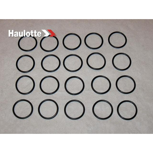 Haulotte Part 2505001320 Image 1