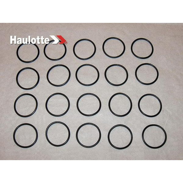 Haulotte Part 2505001330 Image 1