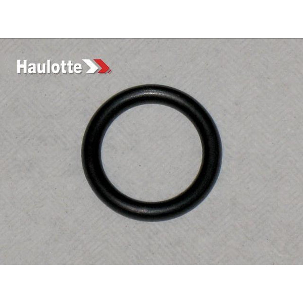 Haulotte Part 2505003550 Image 1