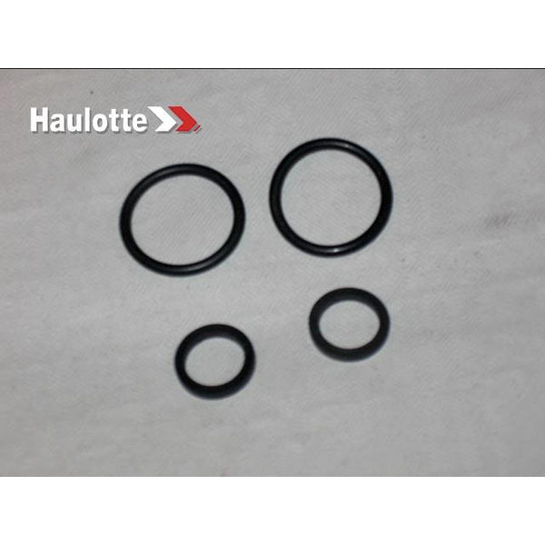 Haulotte Part 2505004420 Image 1