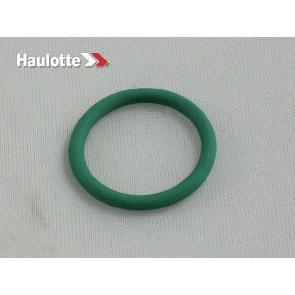 Haulotte Part 2505007160 Image 1