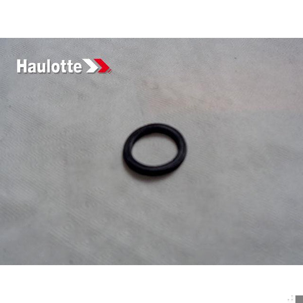 Haulotte Part 4000209730 Image 1