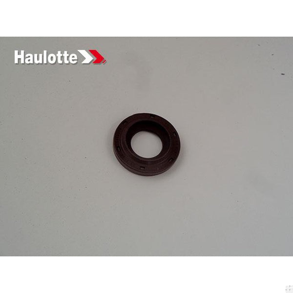 Haulotte Part 4000389060 Image 1