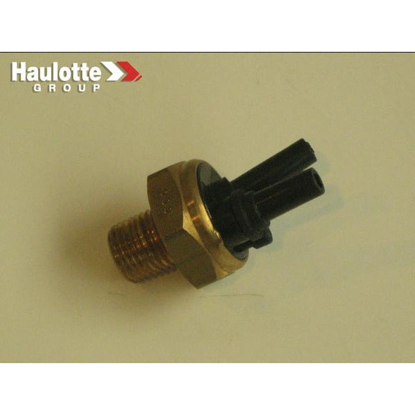 Haulotte Part 9195095000 Image 1
