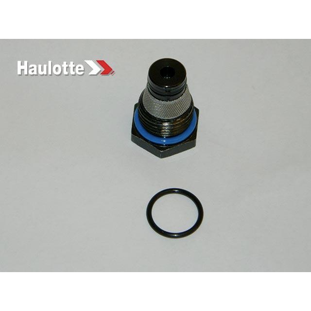 Haulotte Part # B02-15-0444 - Cap-cart Valve W/screen